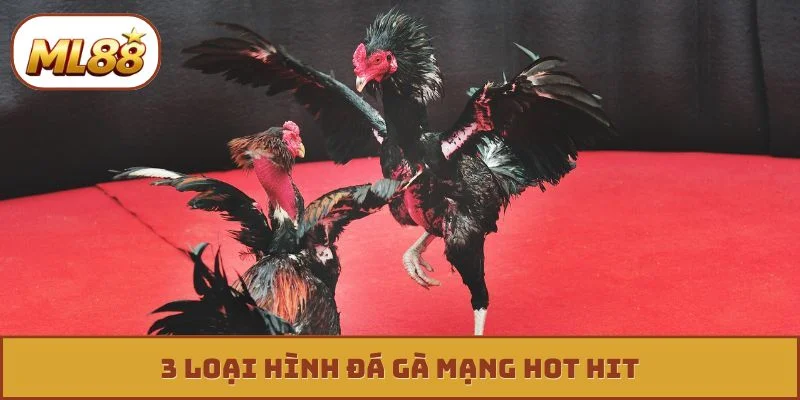 Đá Gà Mạng - 3 Tuyệt Kỹ Xem Tướng Chiến Kê Bất Bại 3 loại hình đá gà mạng hot hit