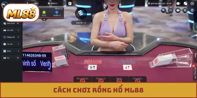 Cách chơi rồng hổ ml88