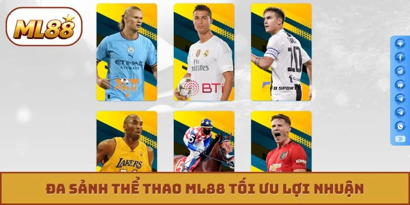 Thể thao ML88 Đa sảnh thể thao ML88 tối ưu lợi nhuận