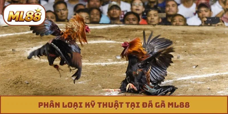 Phân loại kỹ thuật tại đá gà ML88
